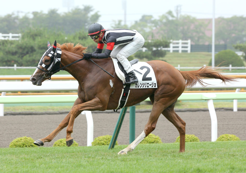 【三連複・三連単 推奨穴馬】福島牝馬ステークス（2019年）予想 ...