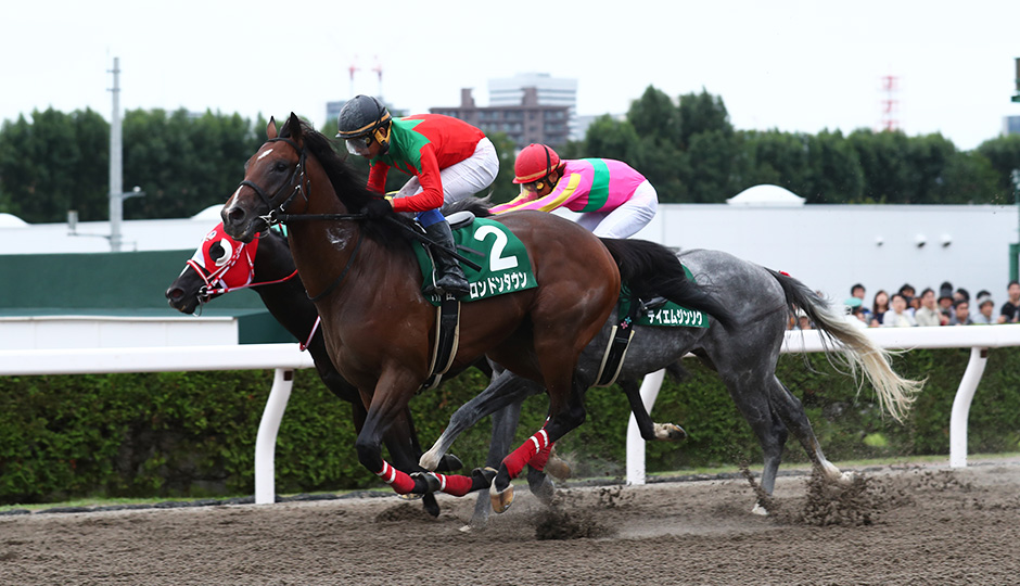 エルムステークス 予想｜血統から導く馬券の狙い目【予想印 ...